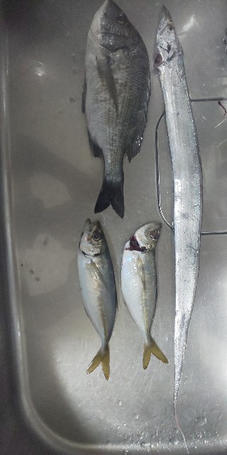 f:id:Fishing-Golf-Agriculture:20200924085458j:image