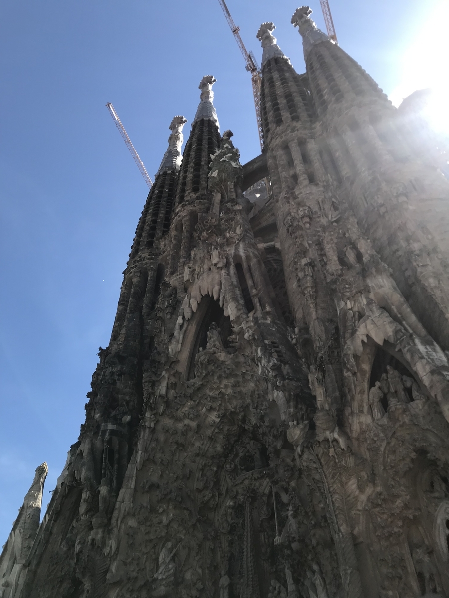 f:id:Flamigo:20190630001832j:plain f:id:Flamigo:20190630001832j:plain