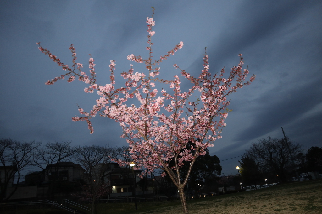 f:id:FlashVolt:20190306205057j:plain f:id:FlashVolt:20190306205057j:plain