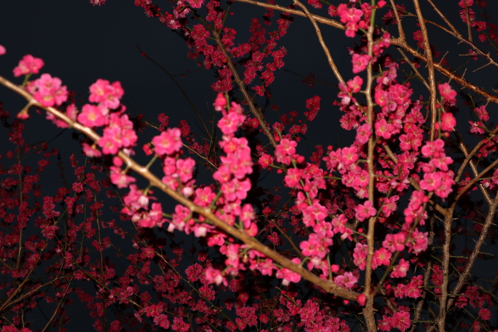 f:id:FlashVolt:20190306205600j:plain f:id:FlashVolt:20190306205600j:plain