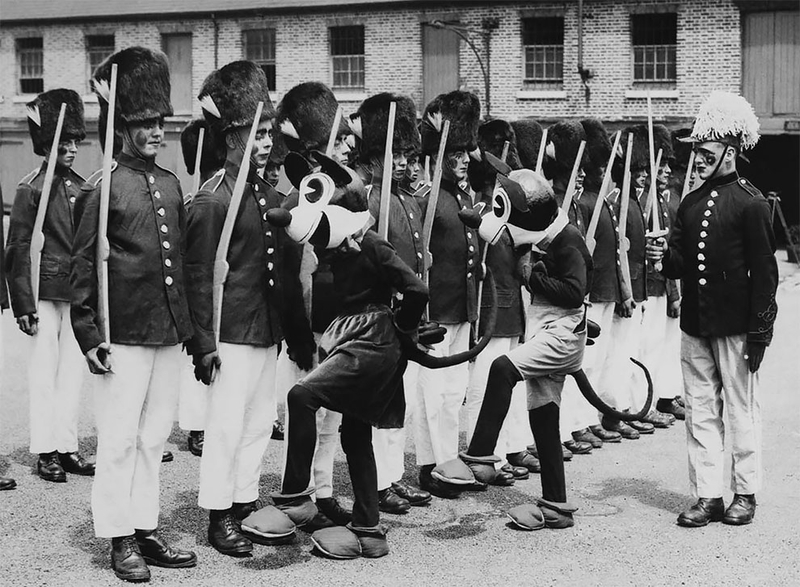 f:id:Florist87:20200612153853j:plain f:id:Florist87:20200612153853j:plain