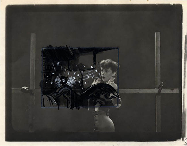 f:id:Florist87:20200706132618j:plain f:id:Florist87:20200706132618j:plain