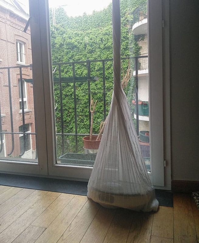 f:id:Florist87:20201121212628j:plain