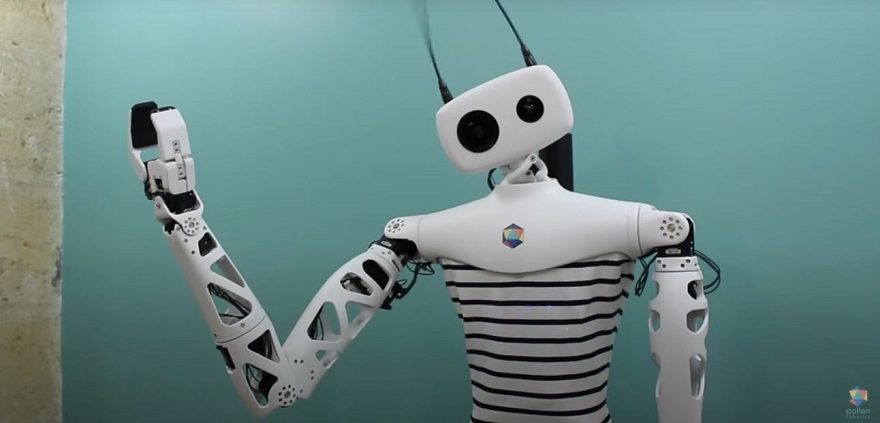 f:id:Florist87:20210113183443j:plain