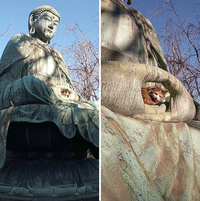 f:id:Florist87:20210527131634j:plain