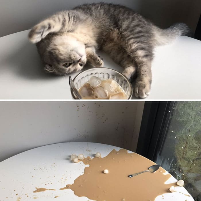 f:id:Florist87:20210527133105j:plain