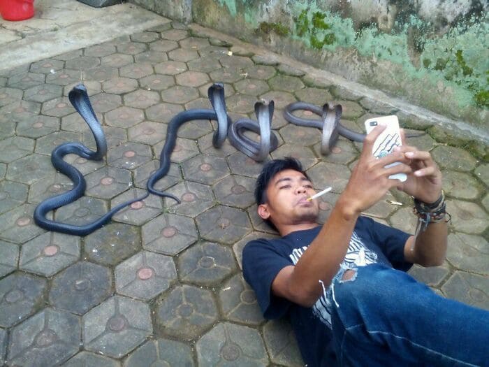 f:id:Florist87:20210626103209j:plain