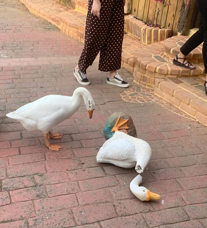 f:id:Florist87:20210715172249j:plain