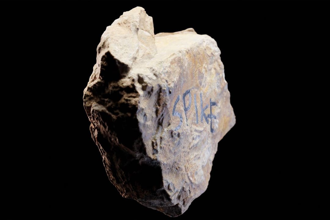 f:id:Florist87:20210717092739j:plain