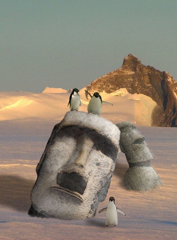 f:id:Florist87:20210720170915j:plain