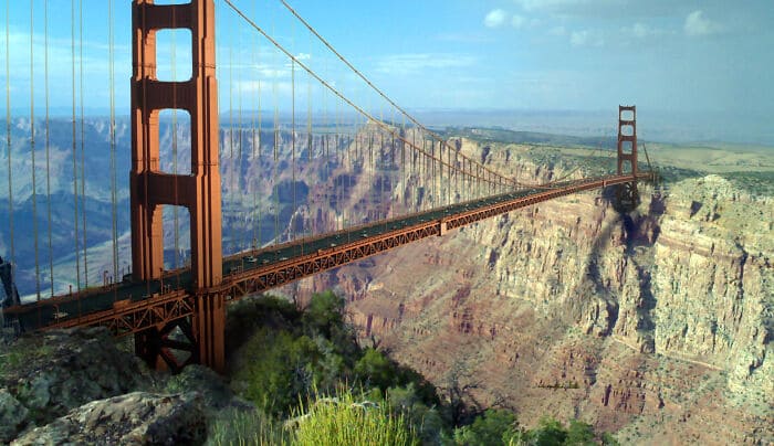 f:id:Florist87:20210720170919j:plain