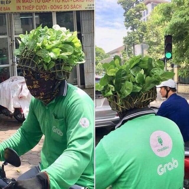 f:id:Florist87:20210904111320j:plain