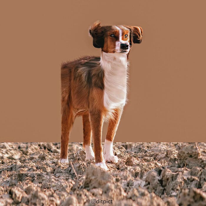 f:id:Florist87:20210908153806j:plain
