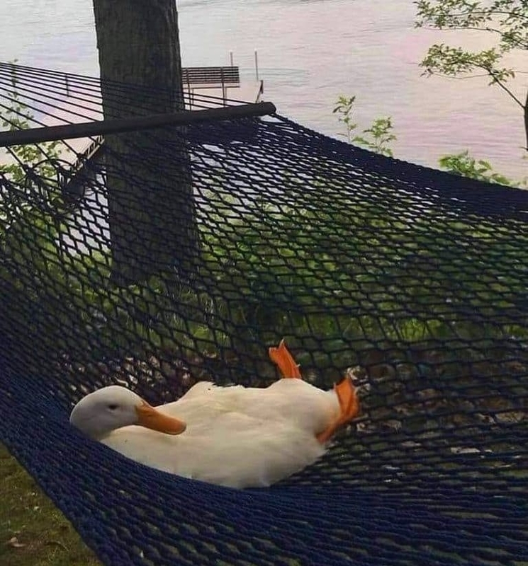 f:id:Florist87:20210925150237j:plain