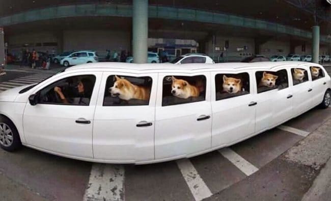 f:id:Florist87:20210925150240j:plain