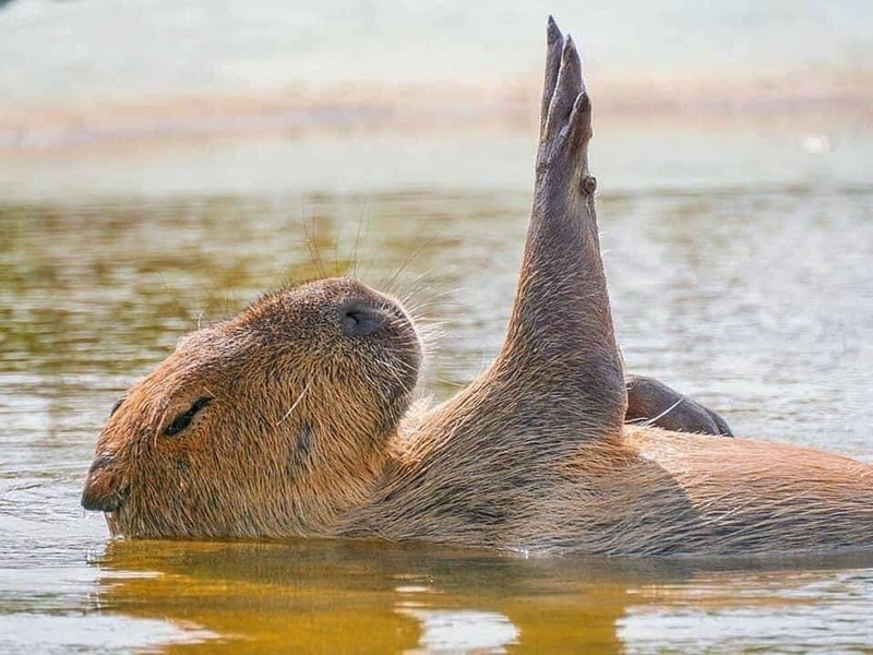 f:id:Florist87:20210925150243j:plain