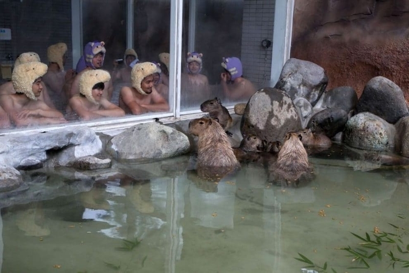 f:id:Florist87:20210925150247j:plain