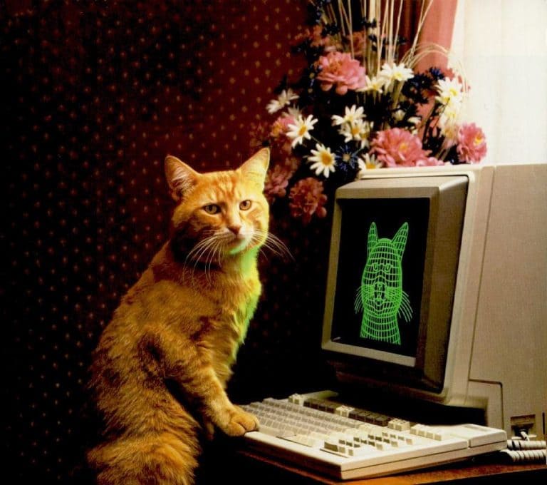 f:id:Florist87:20210925150257j:plain