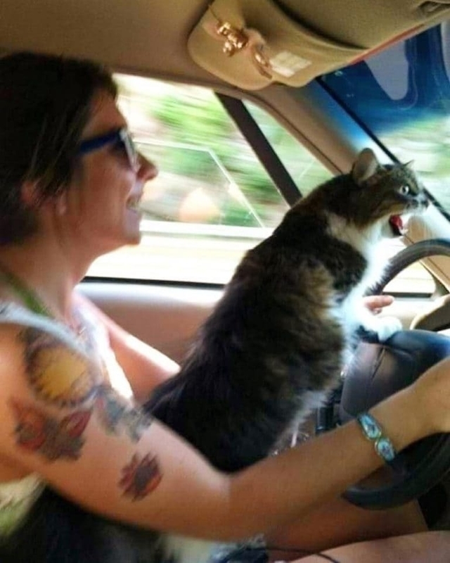 f:id:Florist87:20210925150305j:plain