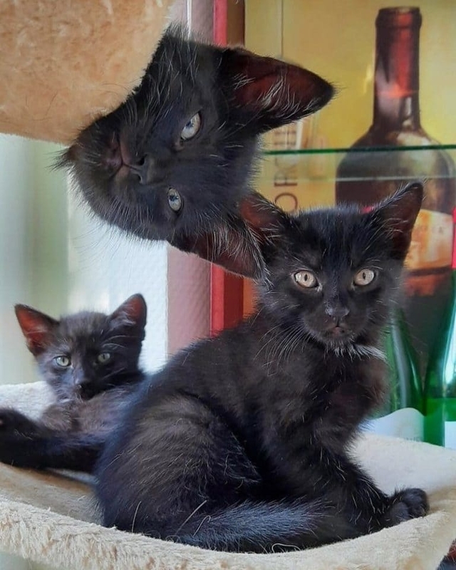 f:id:Florist87:20210925150317j:plain