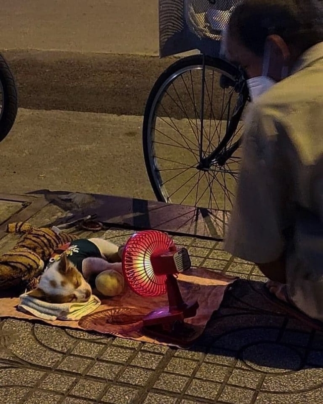 f:id:Florist87:20210925150321j:plain