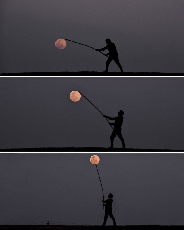 f:id:Florist87:20211002175833j:plain