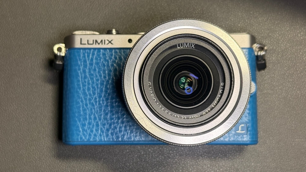 LUMIX GM1S