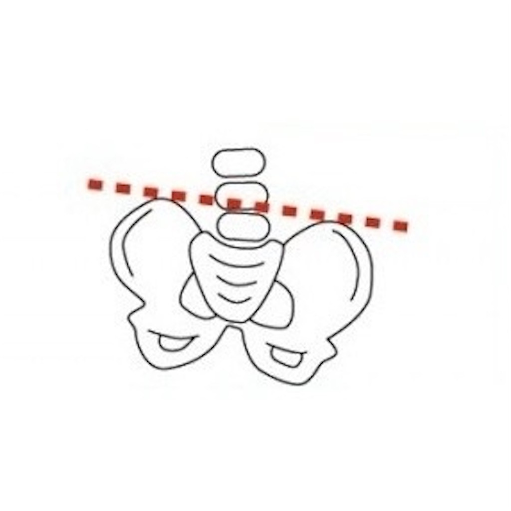 f:id:FlowerBox:20201206113923j:image f:id:FlowerBox:20201206113923j:image