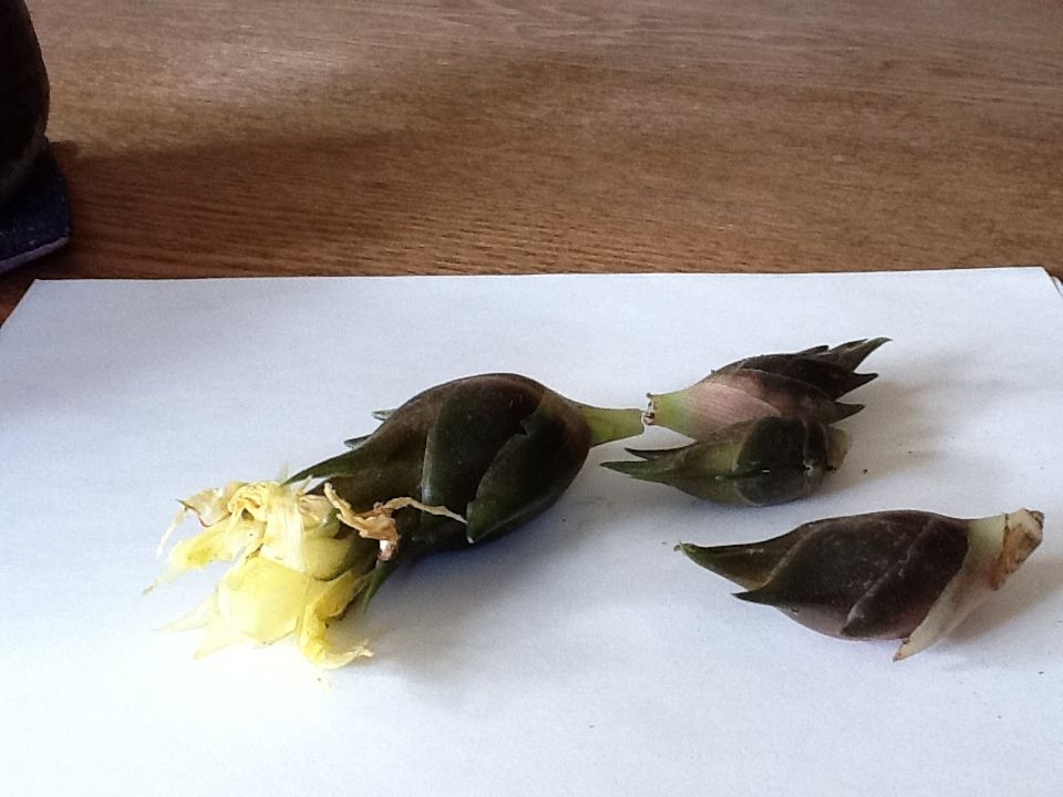 20121014121841