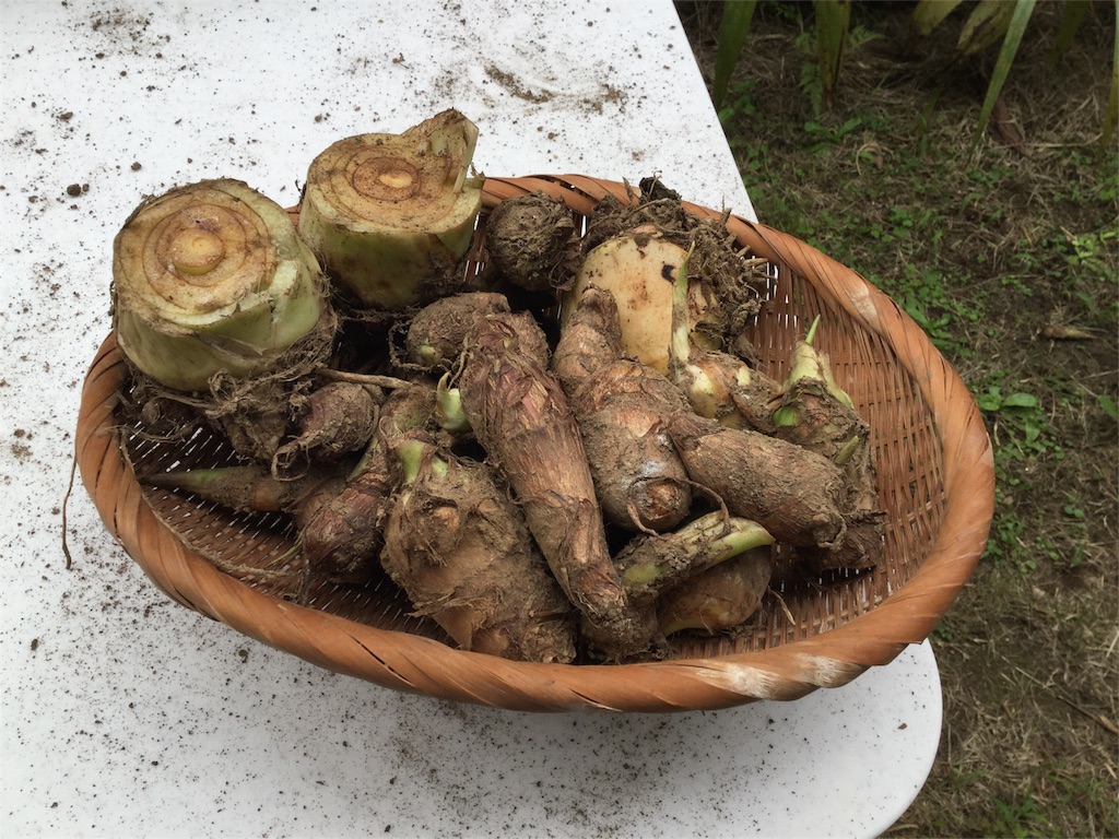 f:id:Fnishi:20160929151039j:image