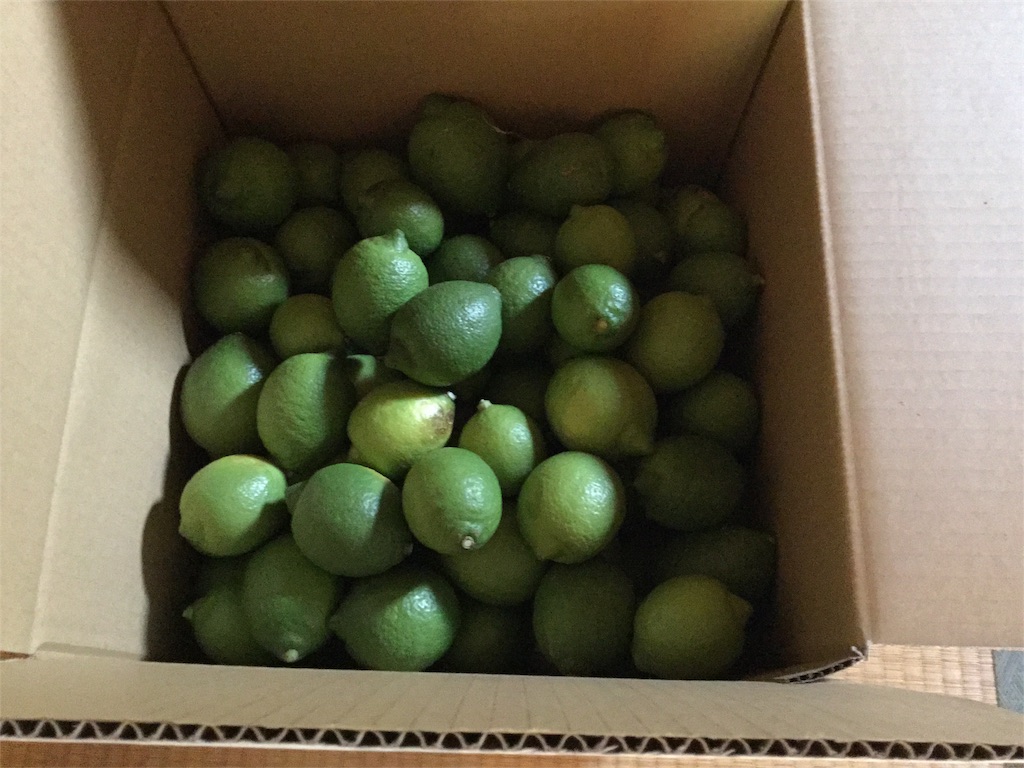 f:id:Fnishi:20161027162310j:image