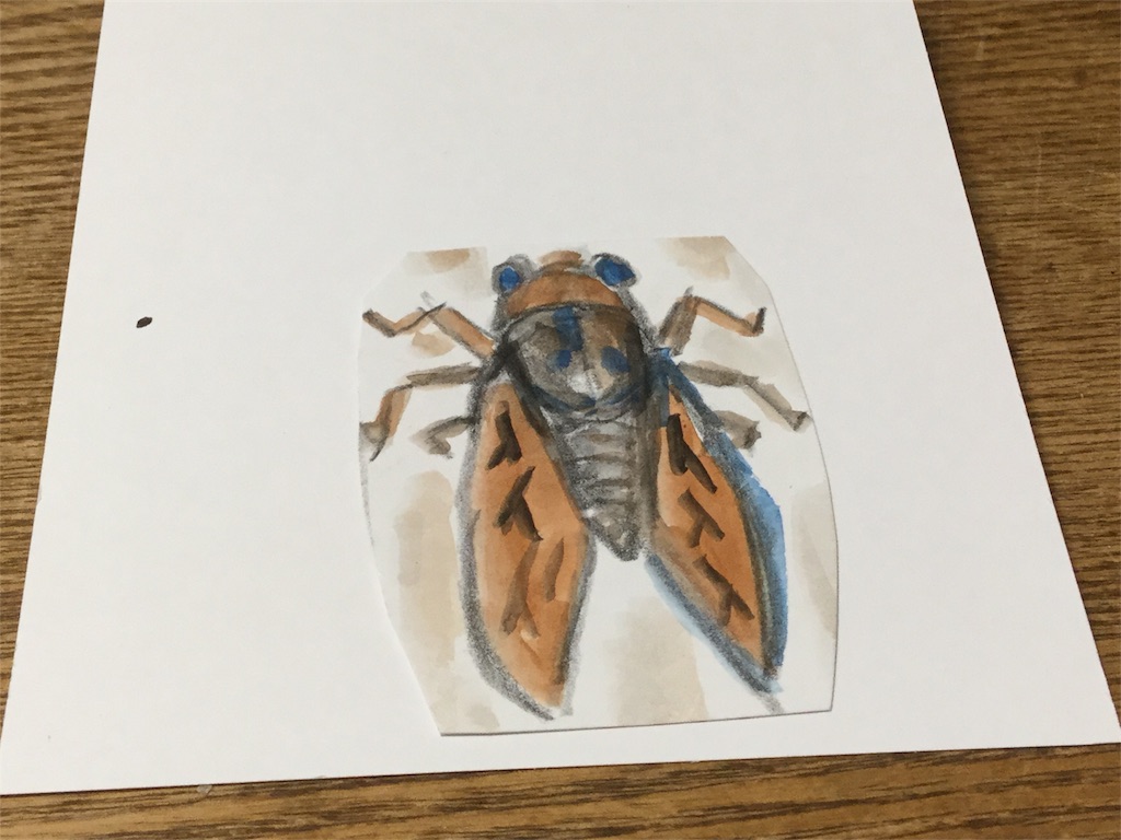 f:id:Fnishi:20170618192308j:image f:id:Fnishi:20170618192308j:image