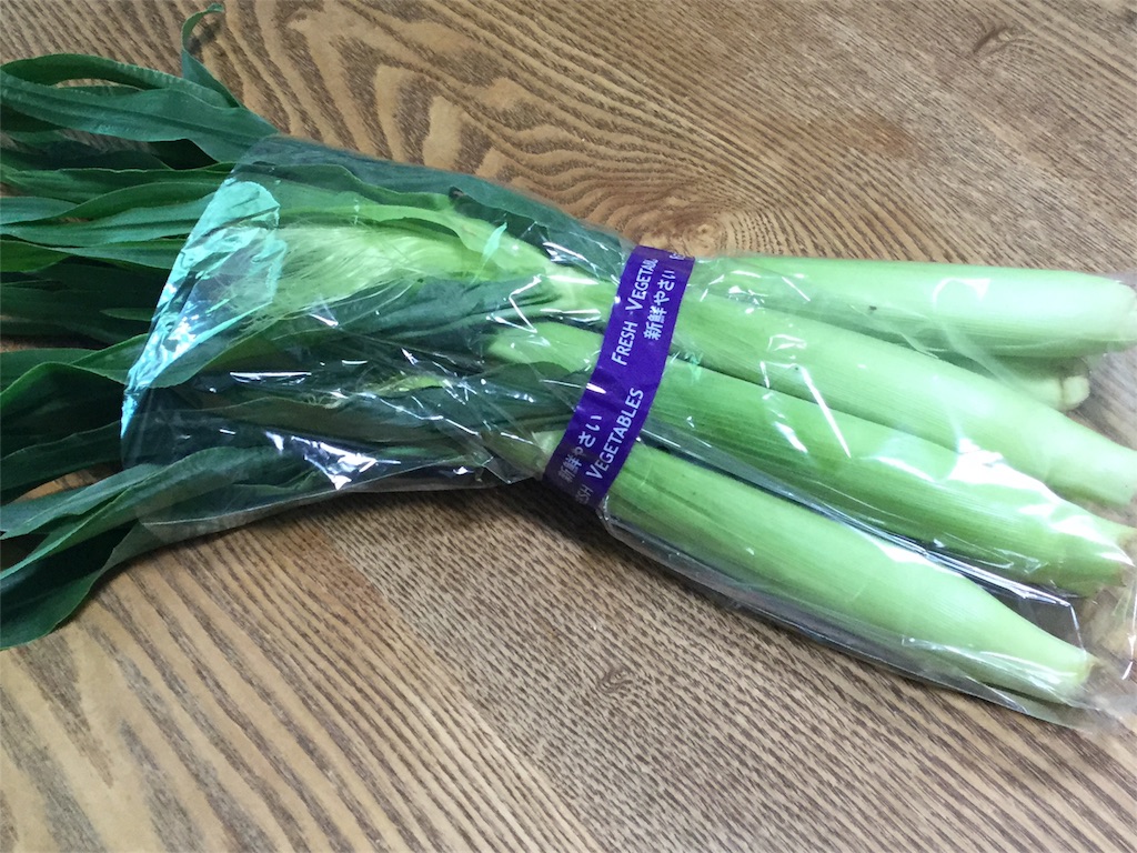 f:id:Fnishi:20180527144133j:image f:id:Fnishi:20180527144133j:image