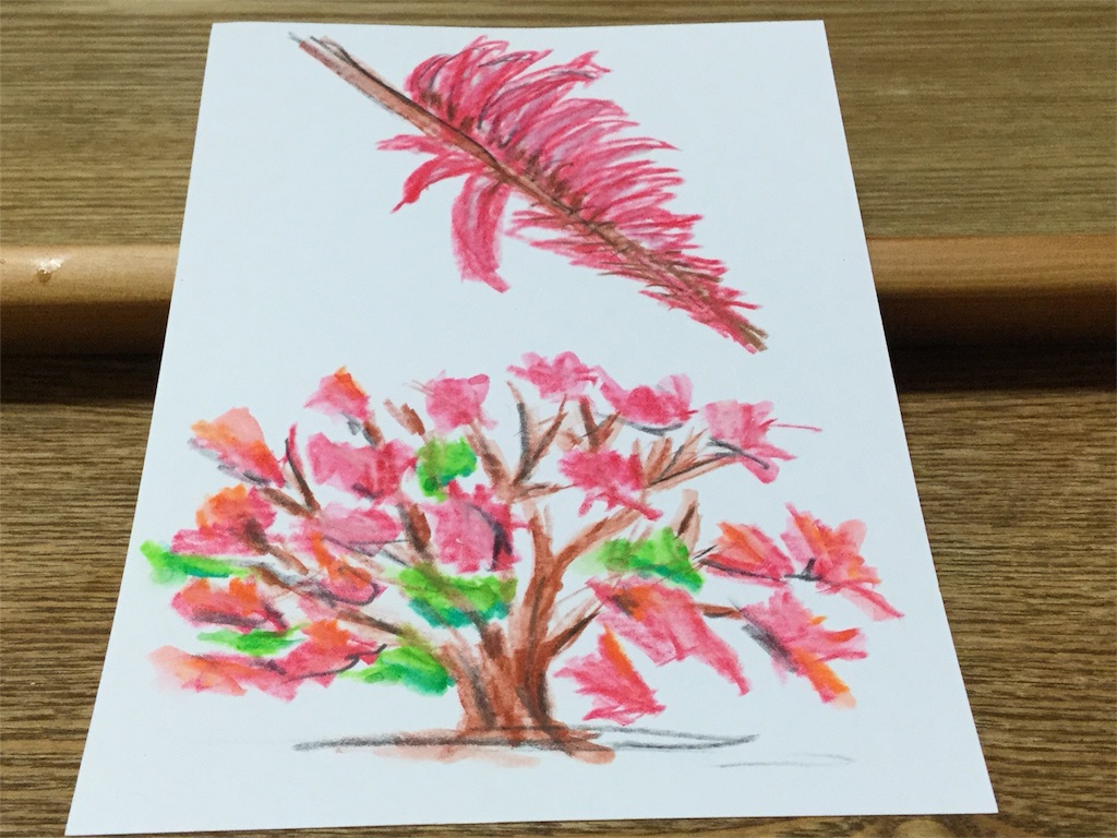デイゴ フジあんどトシの日記 デイゴ フジあんどトシの日記