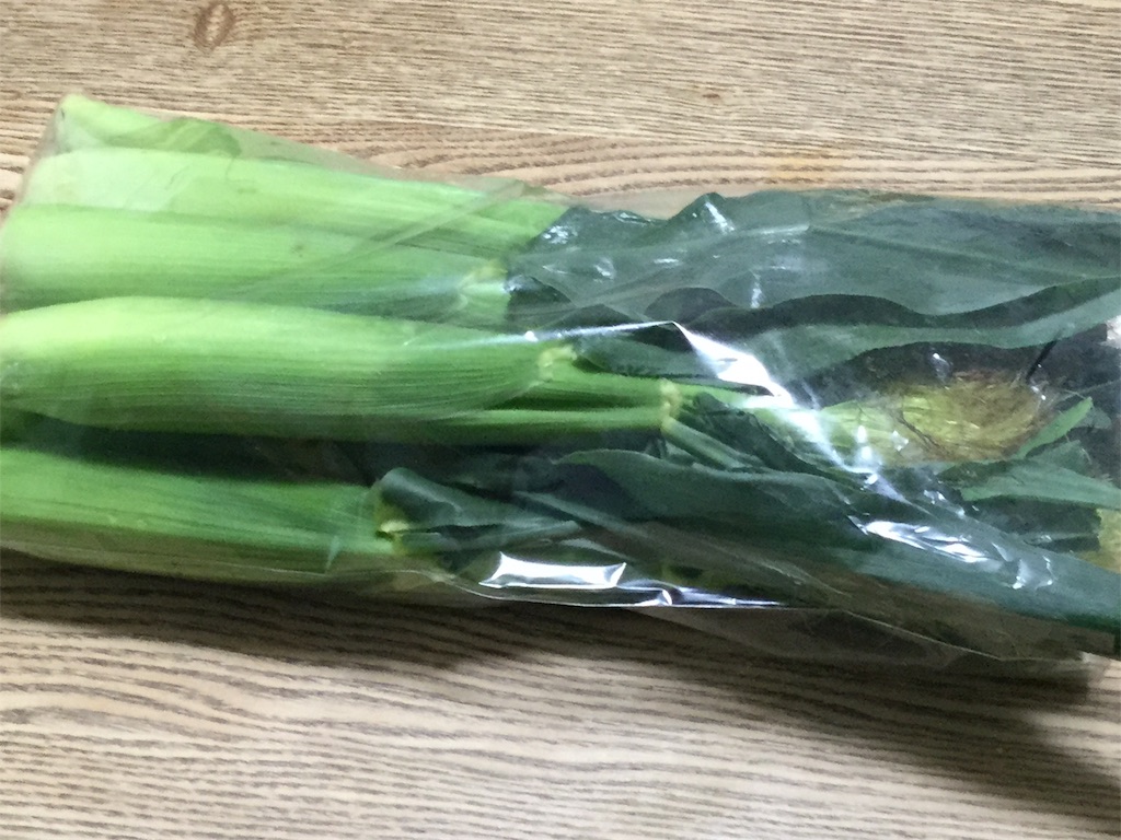 f:id:Fnishi:20190604151510j:image