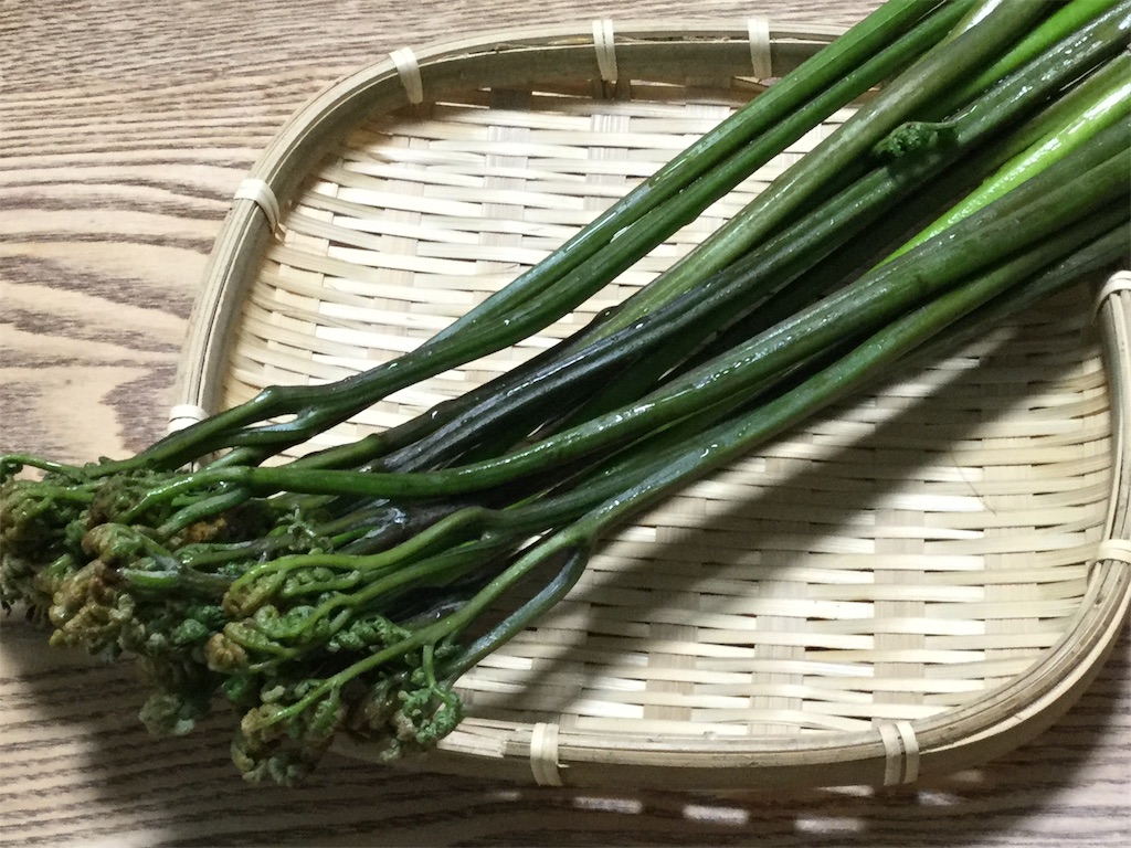 f:id:Fnishi:20190604154150j:image f:id:Fnishi:20190604154150j:image