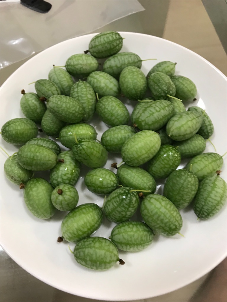 f:id:Fnishi:20190804145053j:image
