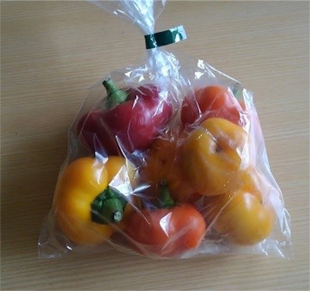 f:id:Fnishi:20190824134924j:image f:id:Fnishi:20190824134924j:image