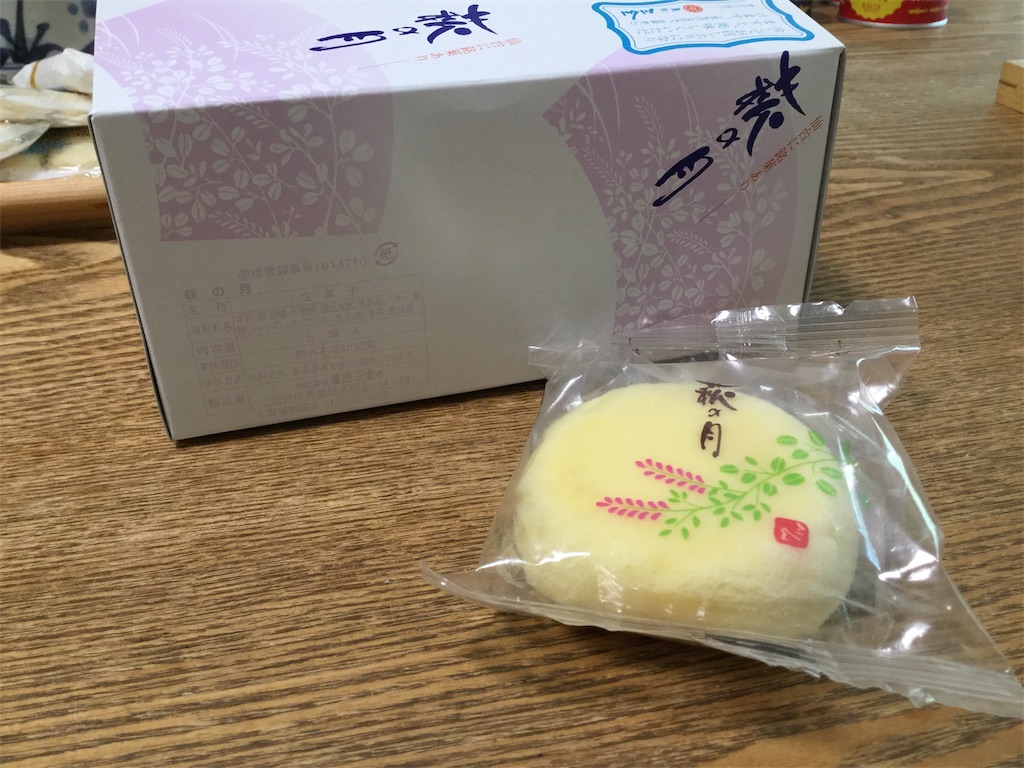 f:id:Fnishi:20190903110602j:image