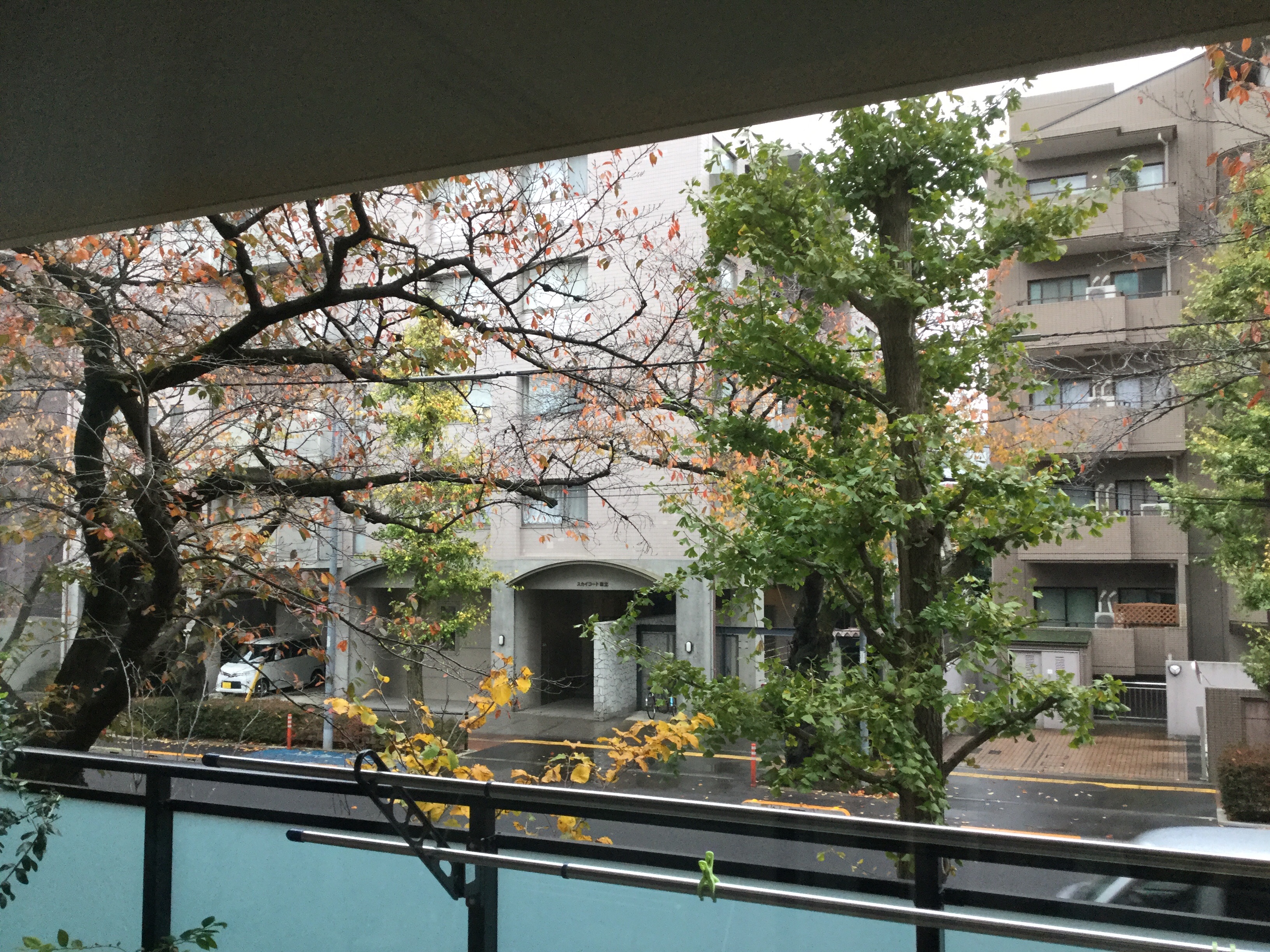 f:id:Fnishi:20191127185934j:image f:id:Fnishi:20191127185934j:image