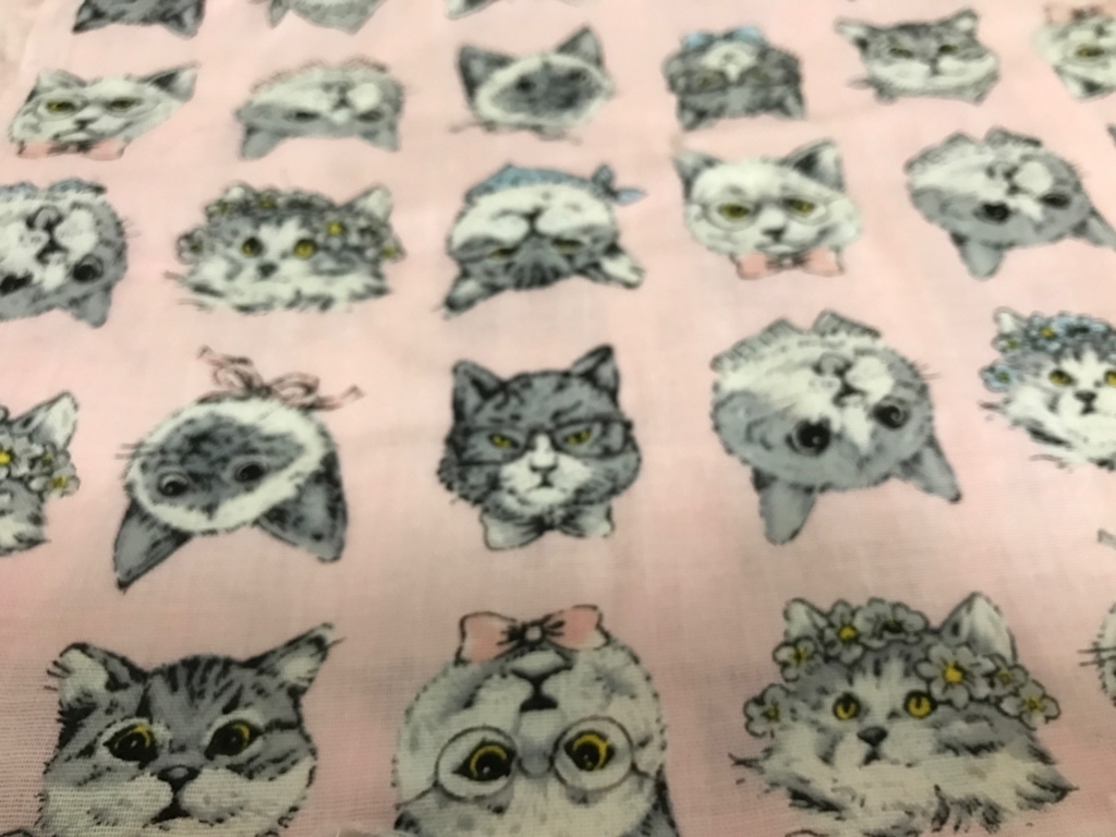 f:id:FoggyPink:20180727144858j:plain