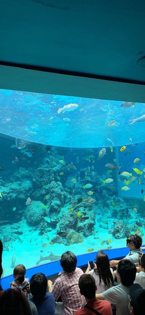 f:id:FomFom:20190102120150j:plain f:id:FomFom:20190102120150j:plain