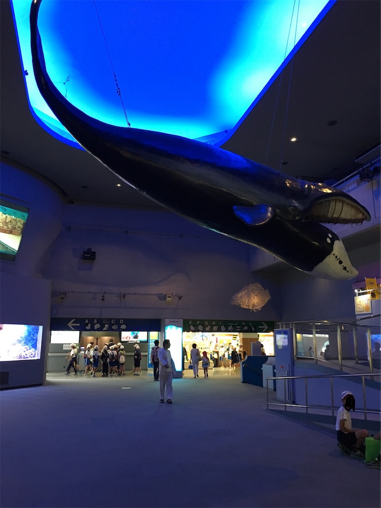 f:id:FomFom:20190105090830j:plain f:id:FomFom:20190105090830j:plain