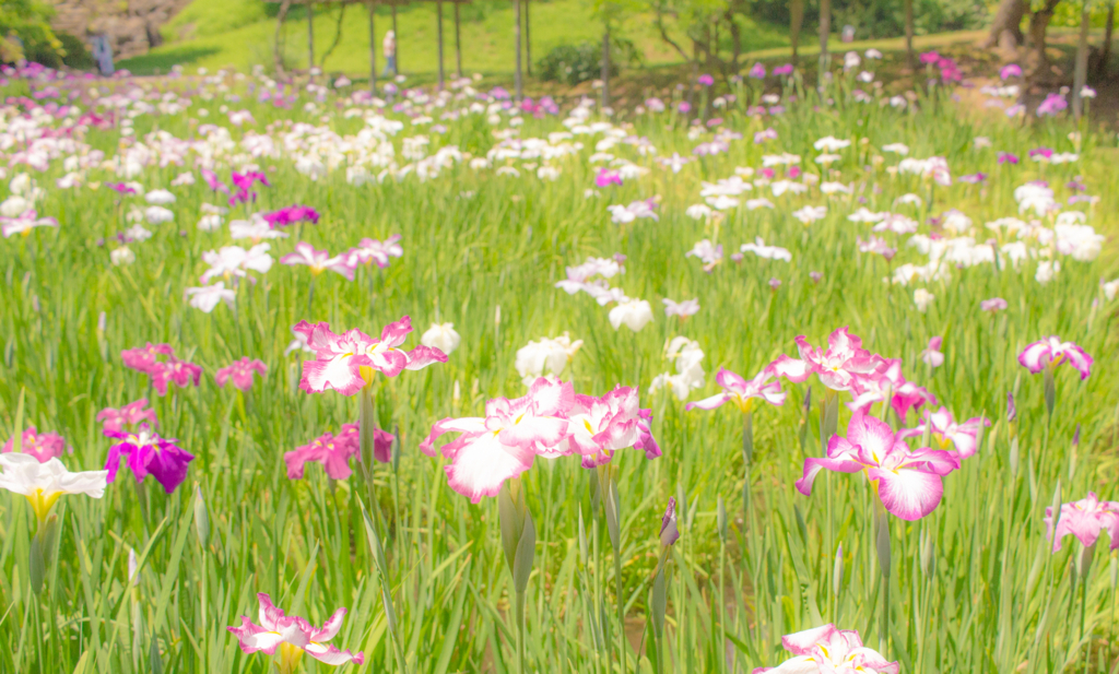 f:id:FooRay:20180604102714j:plain