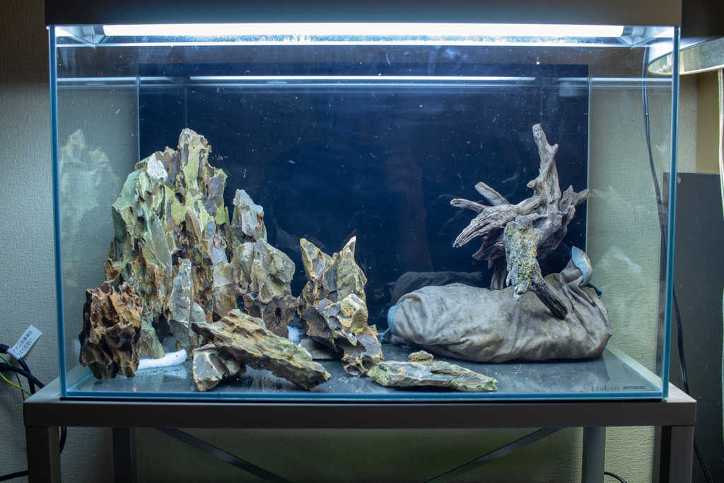 f:id:FooRay:20181231160618j:plain f:id:FooRay:20181231160618j:plain