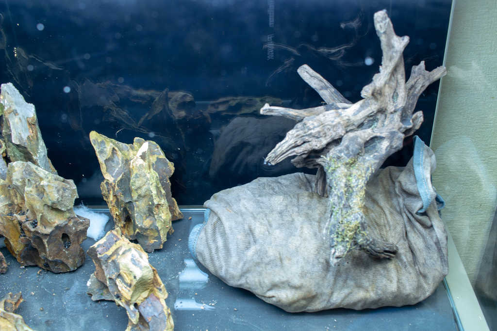 f:id:FooRay:20181231160855j:plain f:id:FooRay:20181231160855j:plain