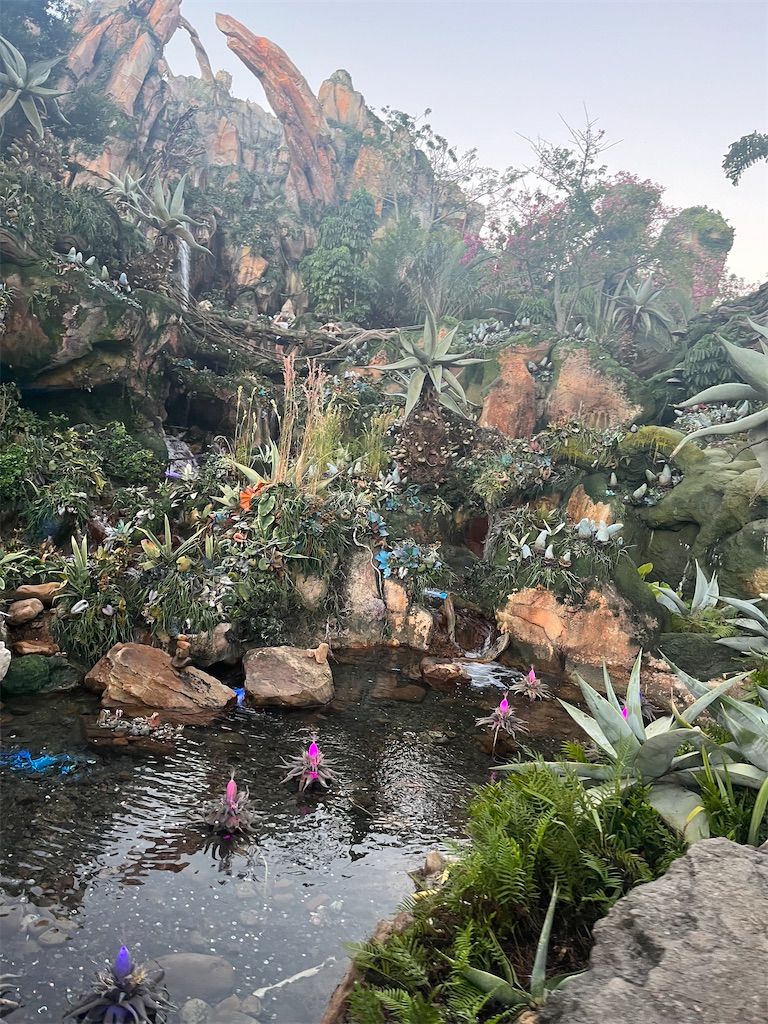 f:id:ForKeeping0:20231101224559j:image f:id:ForKeeping0:20231101224559j:image