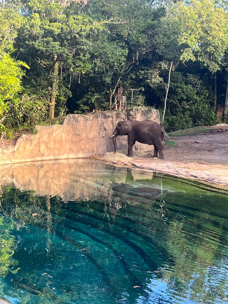 f:id:ForKeeping0:20231101224738j:image f:id:ForKeeping0:20231101224738j:image