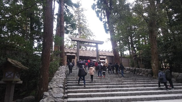 f:id:FormicidaeMan:20190211161259j:image f:id:FormicidaeMan:20190211161259j:image