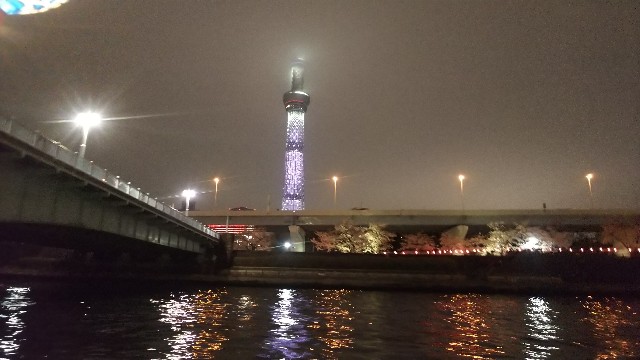 f:id:FormicidaeMan:20190330232315j:image